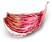 pnz